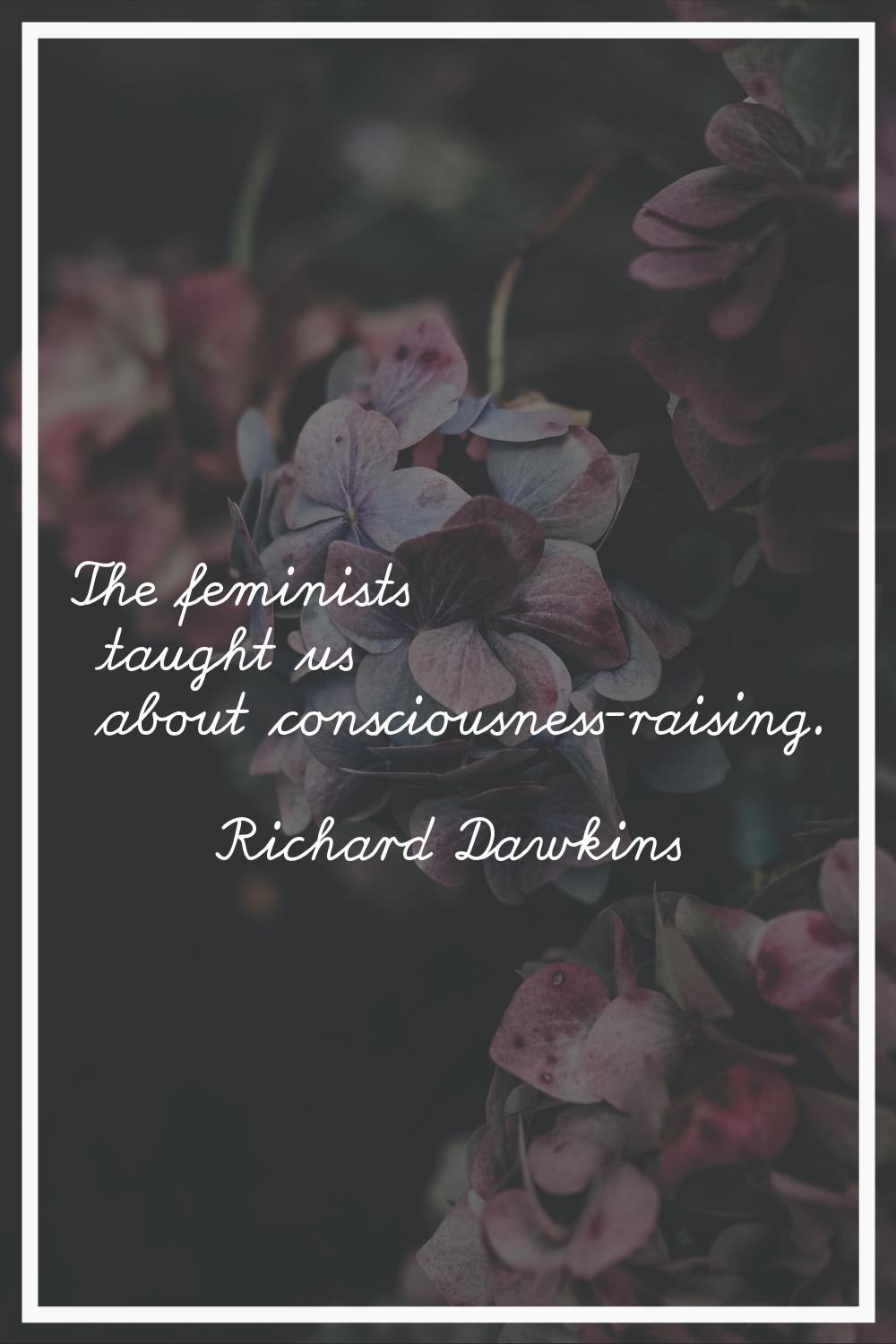 The feminists taught us about consciousness-raising.