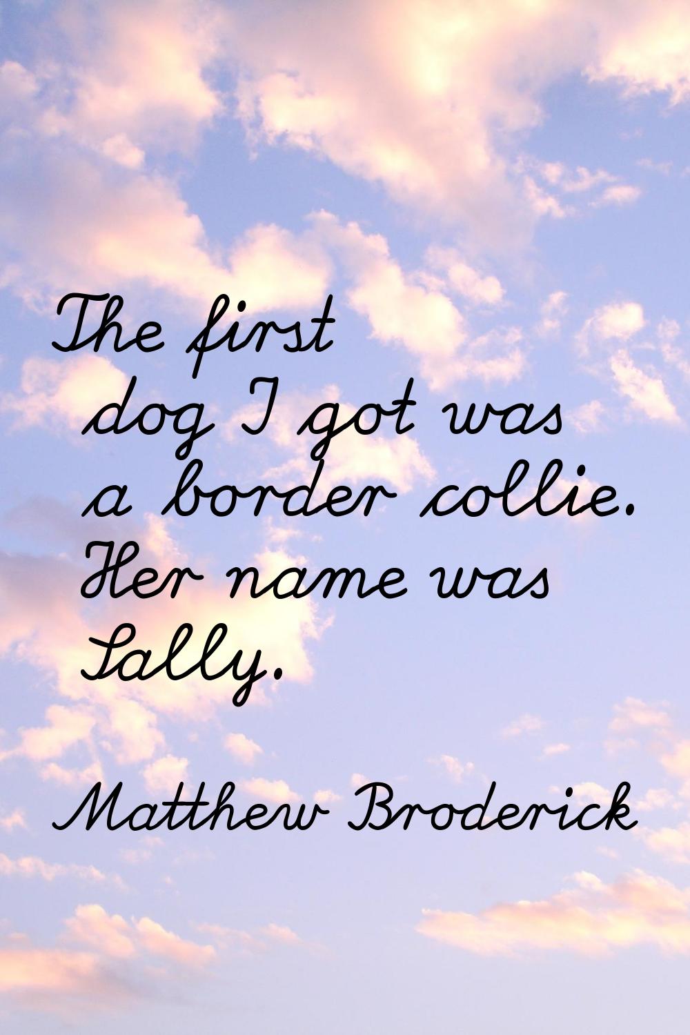 The first dog I got was a border collie. Her name was Sally.