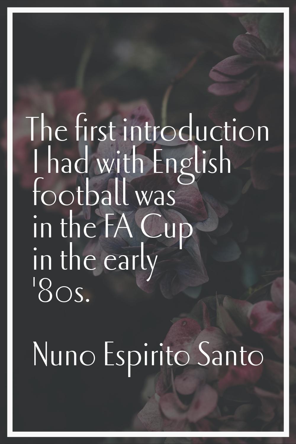 The first introduction I had with English football was in the FA Cup in the early '80s.