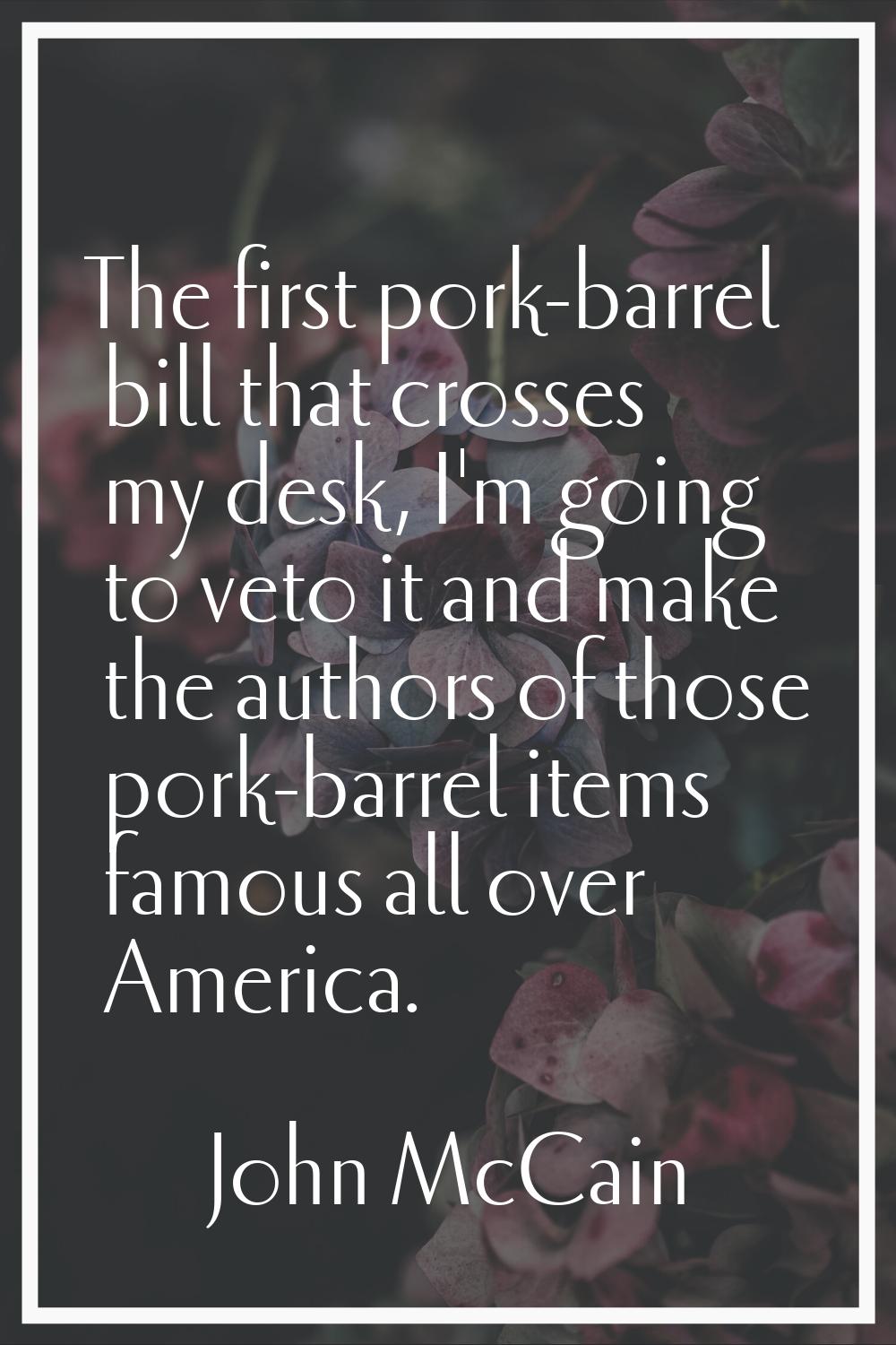 The first pork-barrel bill that crosses my desk, I'm going to veto it and make the authors of those