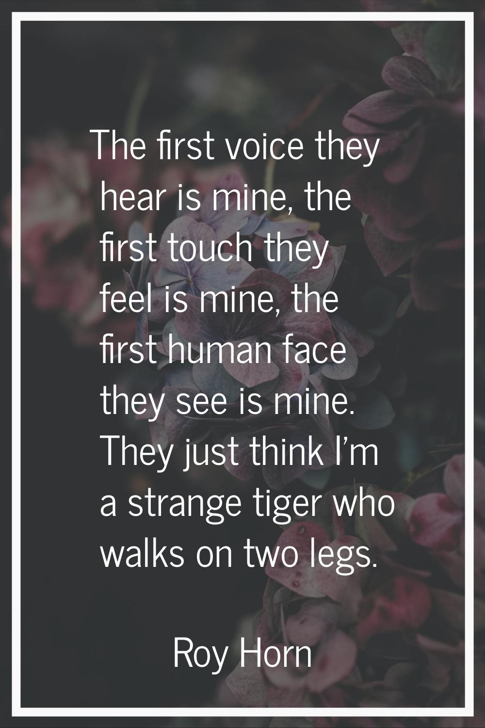 The first voice they hear is mine, the first touch they feel is mine, the first human face they see