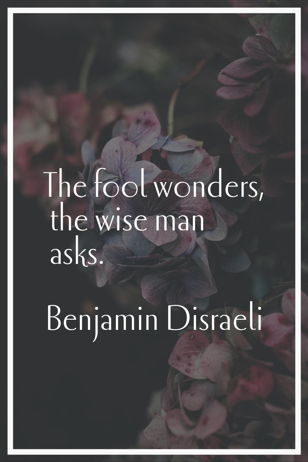 The fool wonders, the wise man asks.
