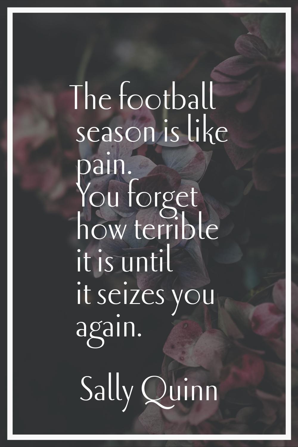 The football season is like pain. You forget how terrible it is until it seizes you again.