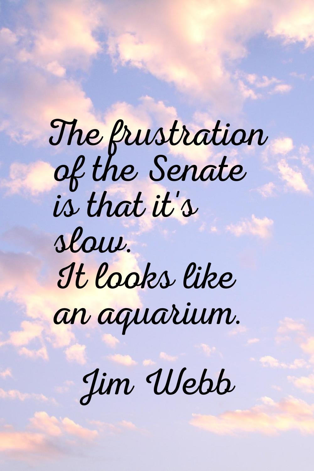 The frustration of the Senate is that it's slow. It looks like an aquarium.