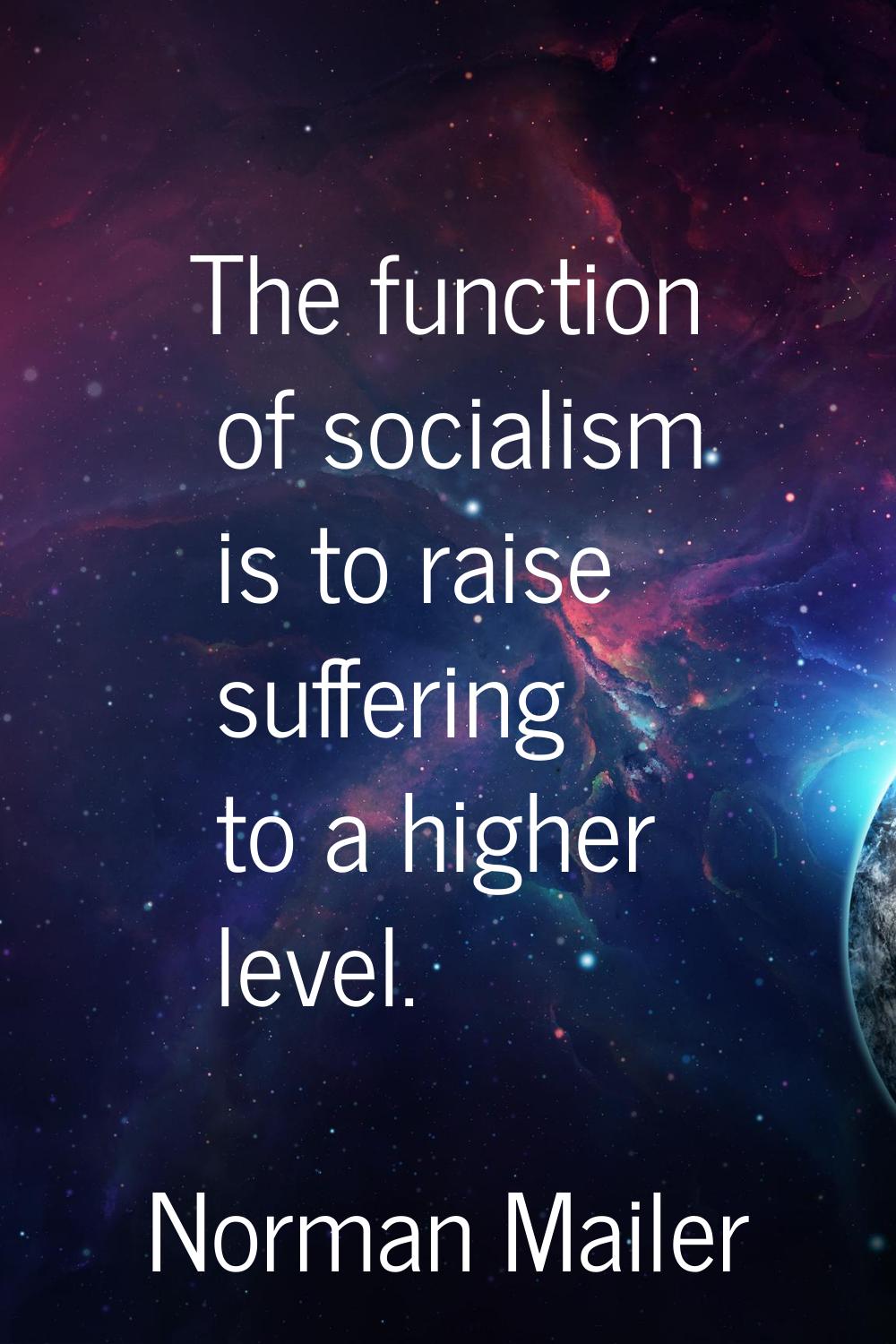 The function of socialism is to raise suffering to a higher level.
