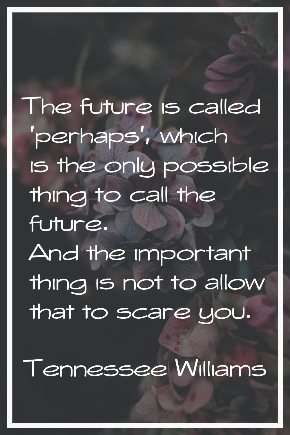 The future is called 'perhaps', which is the only possible thing to call the future. And the import