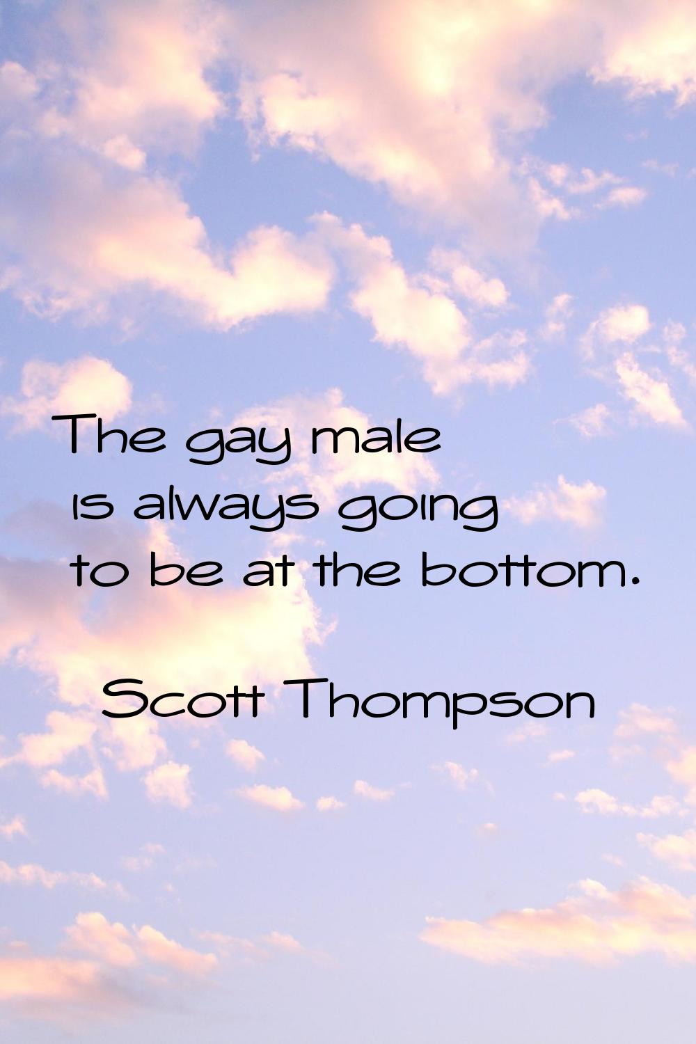 The gay male is always going to be at the bottom.