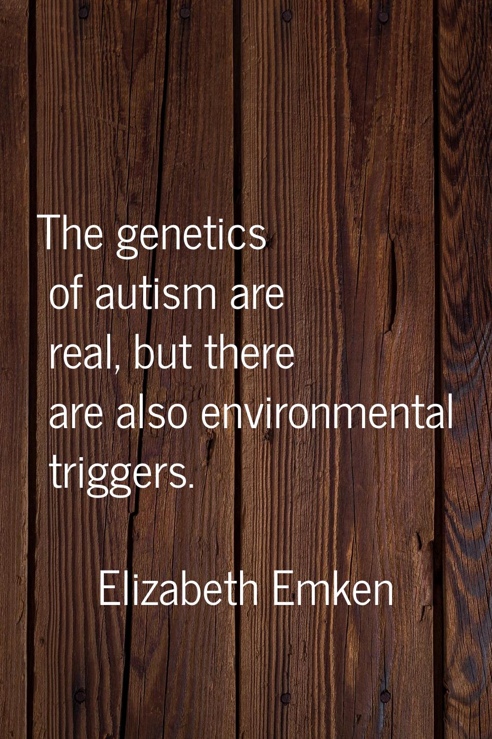 The genetics of autism are real, but there are also environmental triggers.