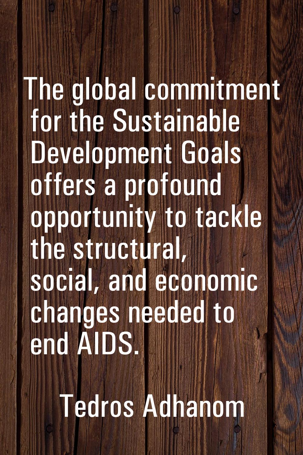 The global commitment for the Sustainable Development Goals offers a profound opportunity to tackle