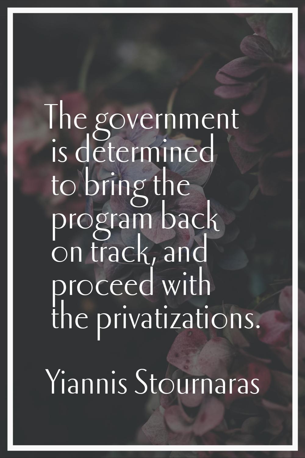 The government is determined to bring the program back on track, and proceed with the privatization