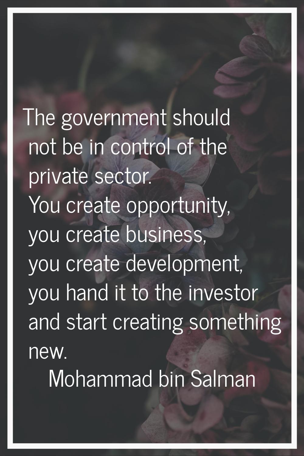The government should not be in control of the private sector. You create opportunity, you create b