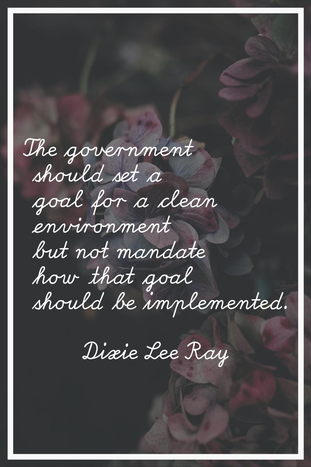 The government should set a goal for a clean environment but not mandate how that goal should be im