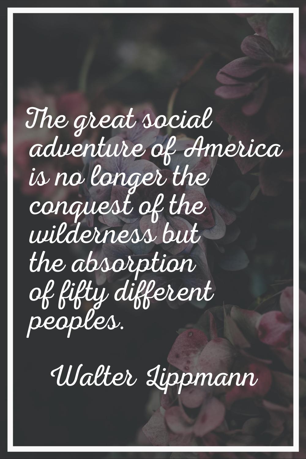 The great social adventure of America is no longer the conquest of the wilderness but the absorptio