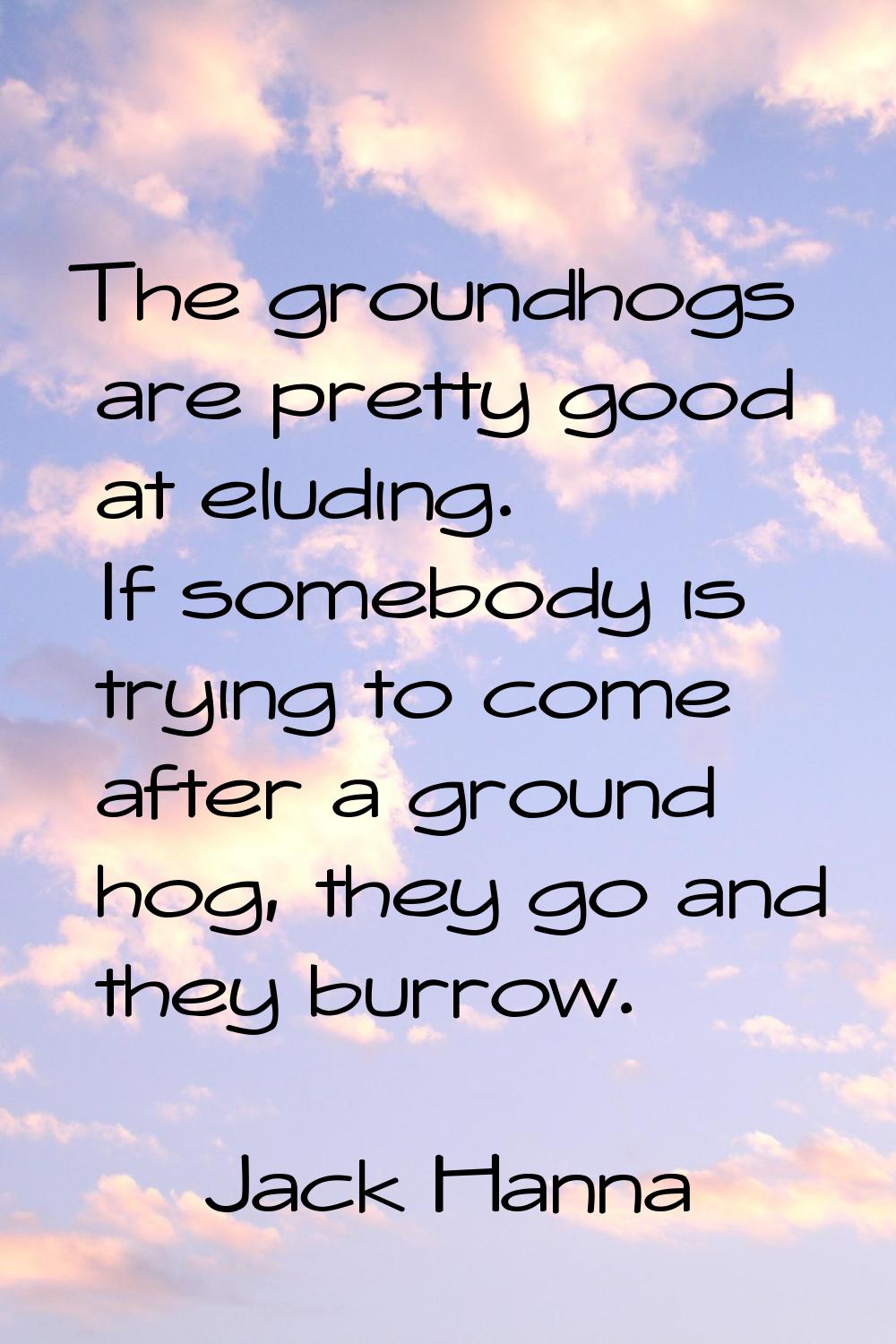 The groundhogs are pretty good at eluding. If somebody is trying to come after a ground hog, they g