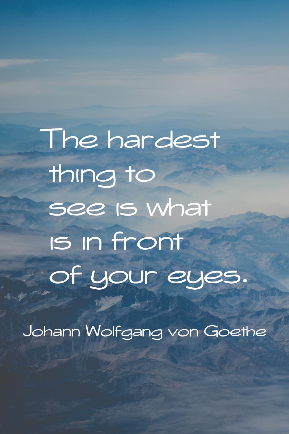 The hardest thing to see is what is in front of your eyes.