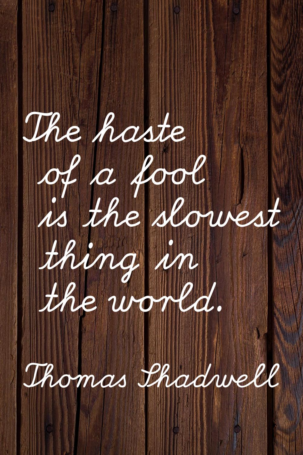 The haste of a fool is the slowest thing in the world.