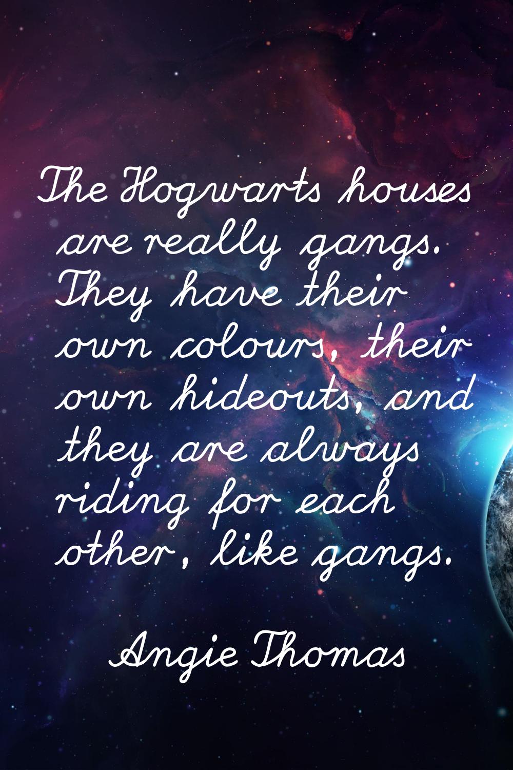 The Hogwarts houses are really gangs. They have their own colours, their own hideouts, and they are