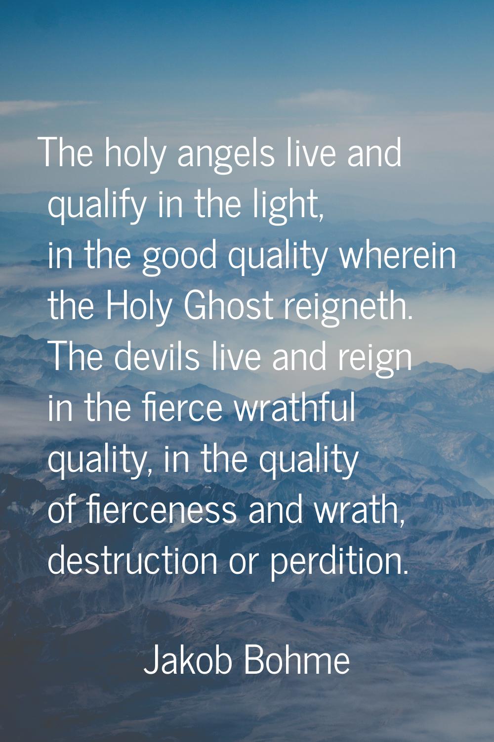 The holy angels live and qualify in the light, in the good quality wherein the Holy Ghost reigneth.