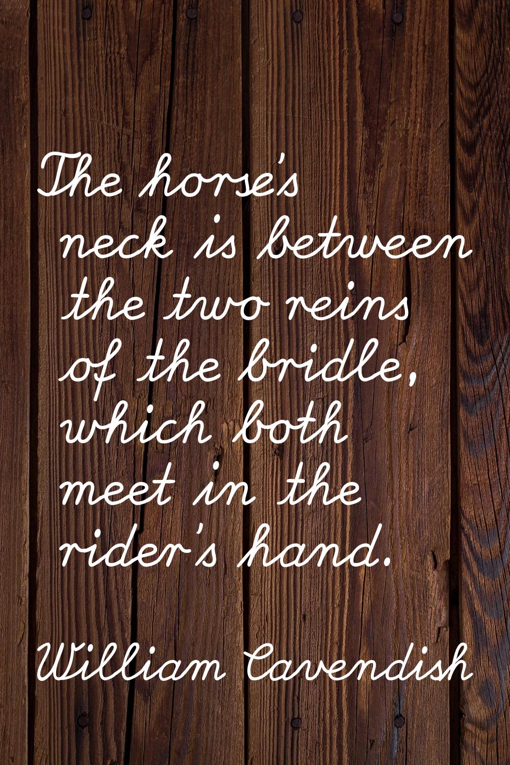 The horse's neck is between the two reins of the bridle, which both meet in the rider's hand.