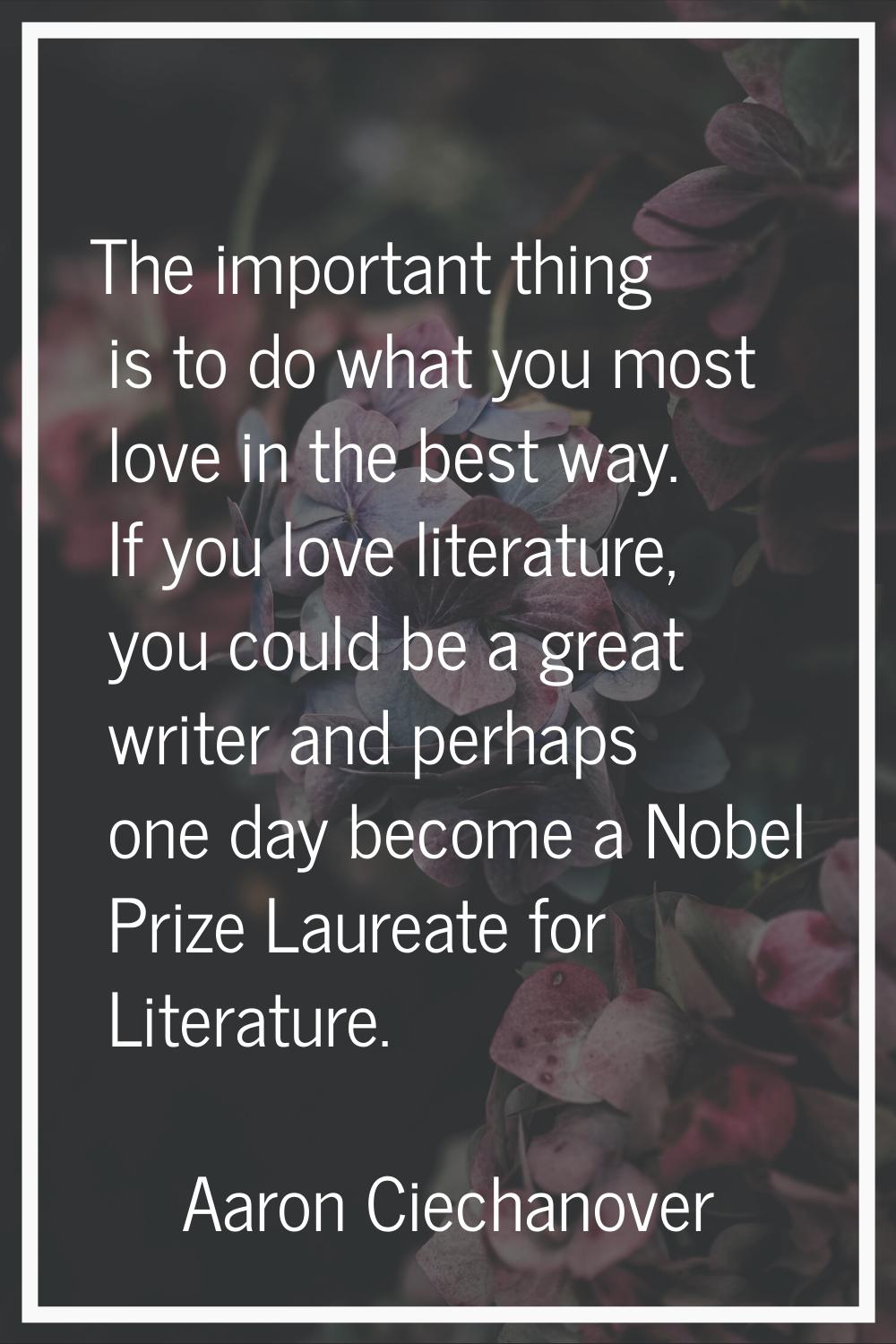 The important thing is to do what you most love in the best way. If you love literature, you could 