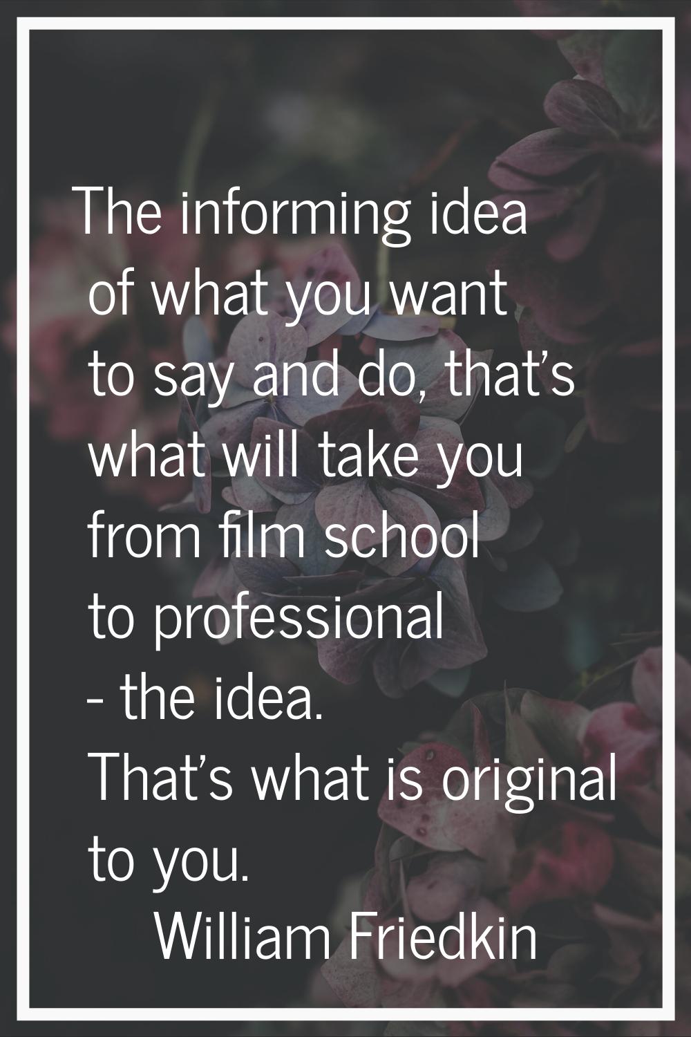 The informing idea of what you want to say and do, that's what will take you from film school to pr