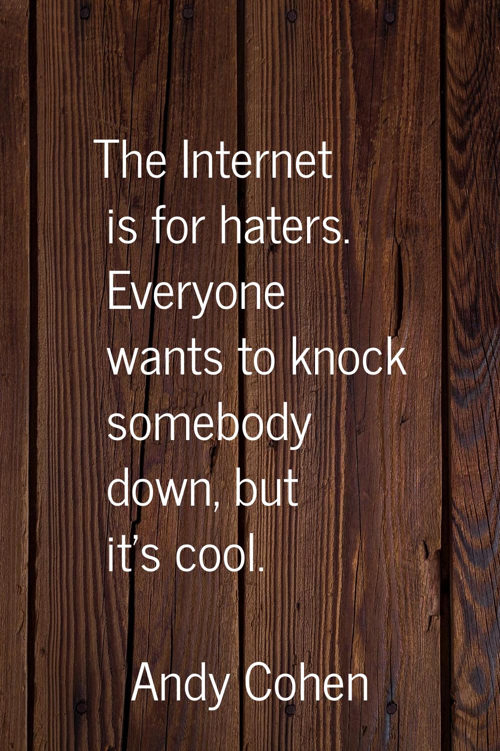 The Internet is for haters. Everyone wants to knock somebody down, but it's cool.