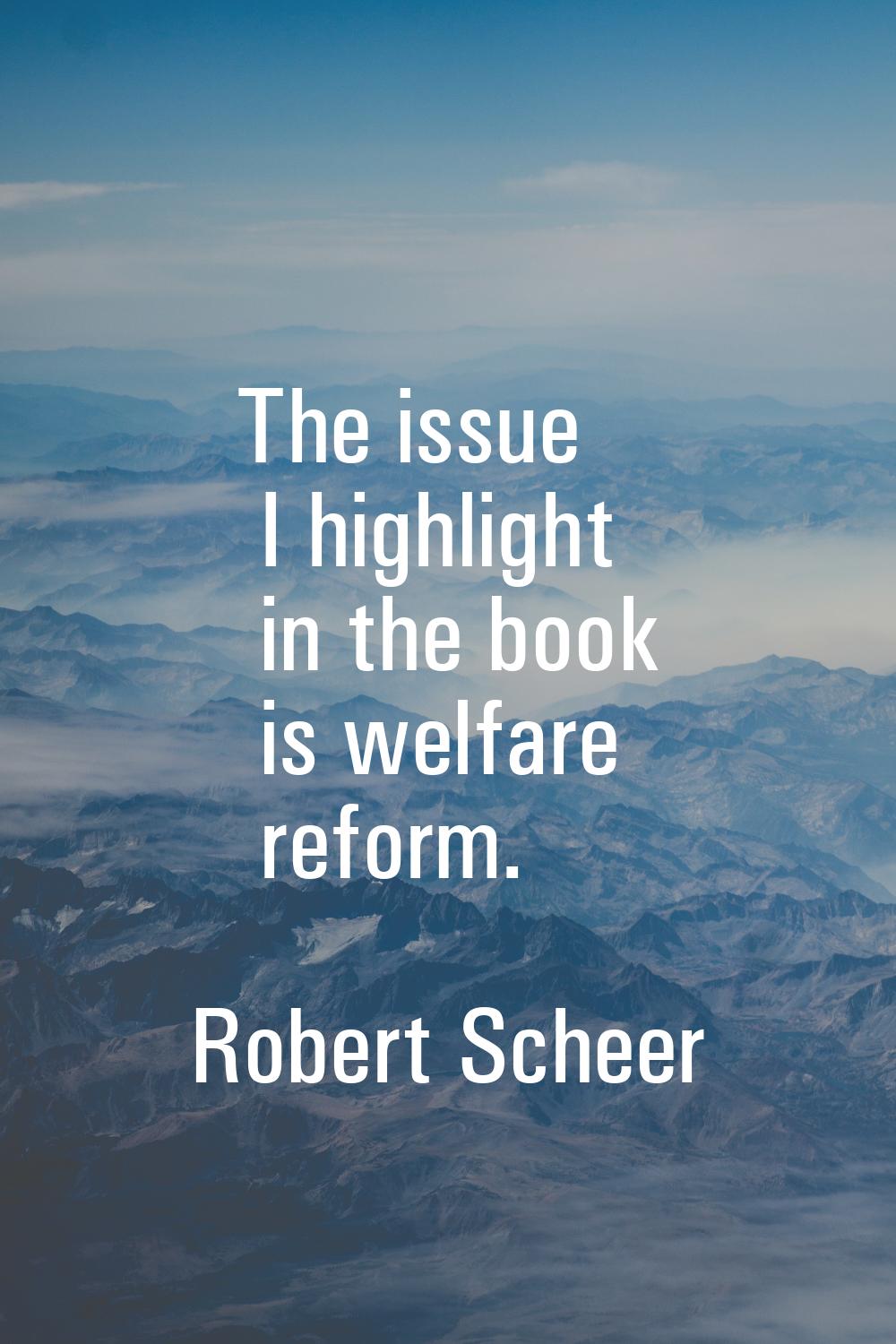 The issue I highlight in the book is welfare reform.