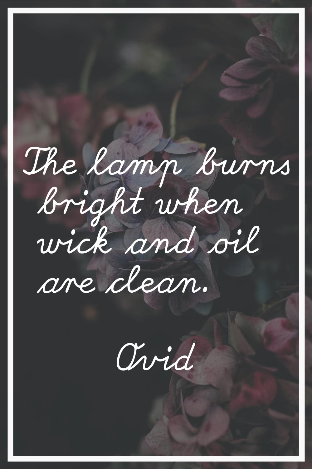 The lamp burns bright when wick and oil are clean.