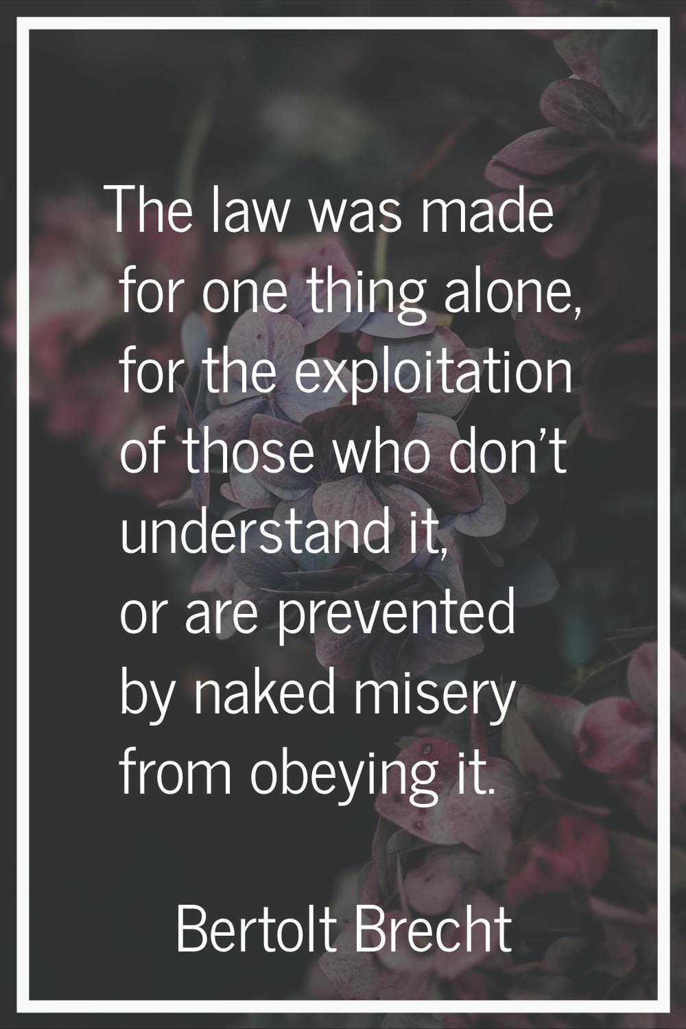 The law was made for one thing alone, for the exploitation of those who don't understand it, or are