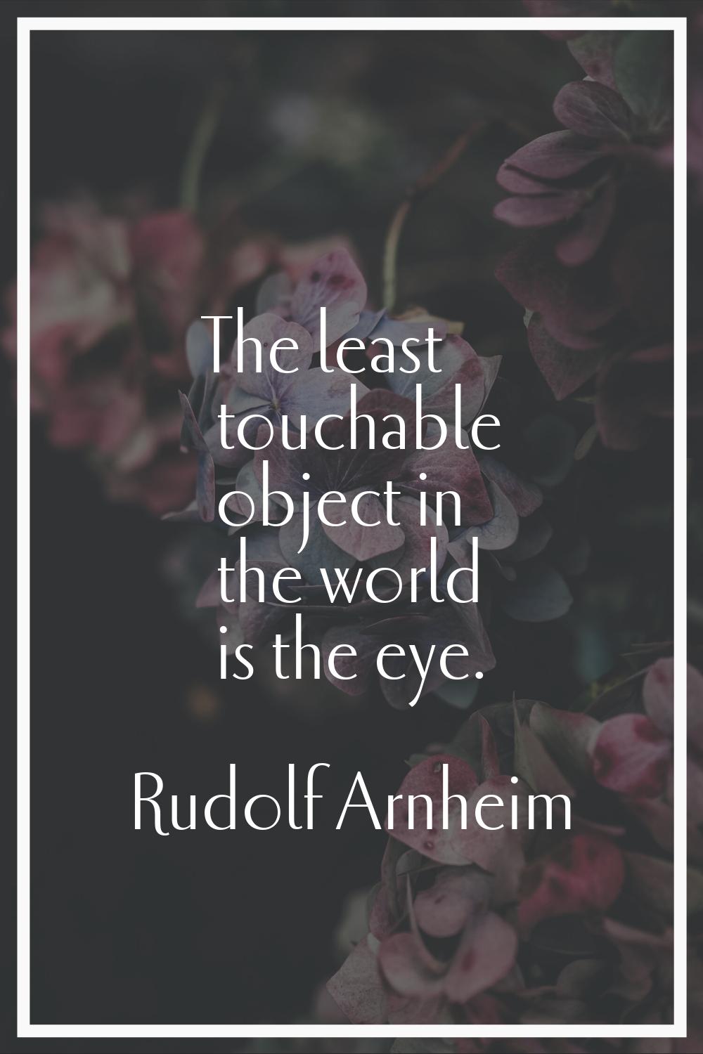 The least touchable object in the world is the eye.