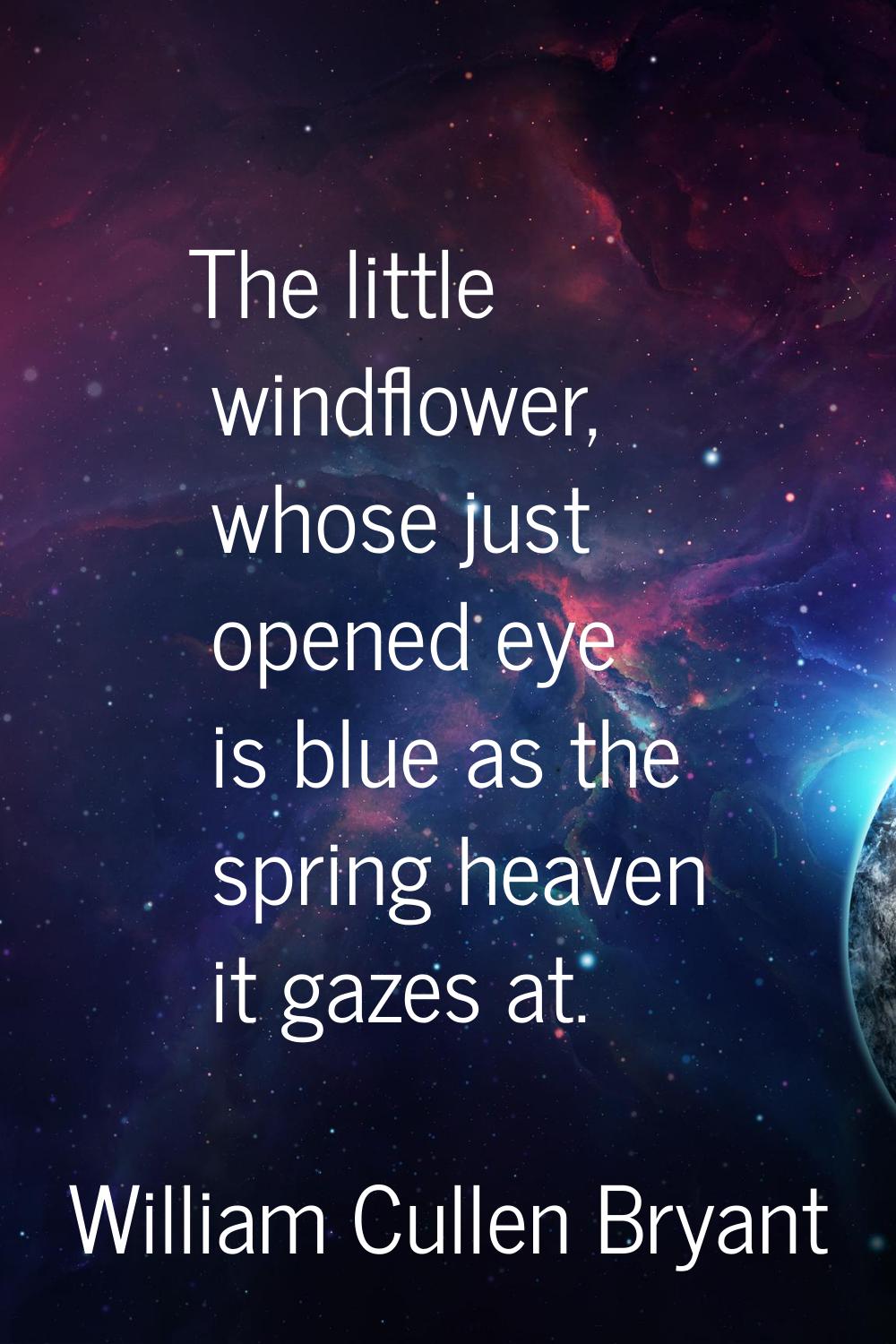 The little windflower, whose just opened eye is blue as the spring heaven it gazes at.