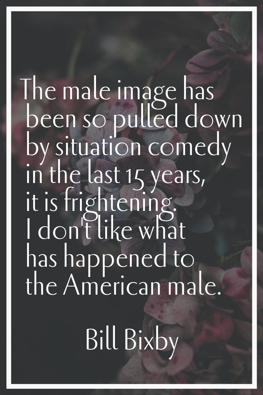 The male image has been so pulled down by situation comedy in the last 15 years, it is frightening.