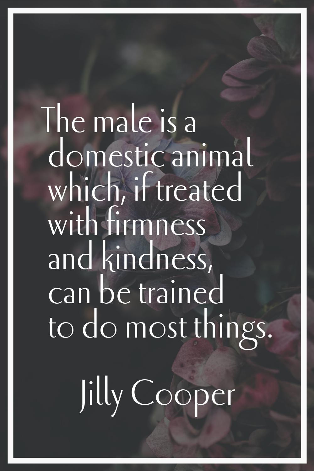 The male is a domestic animal which, if treated with firmness and kindness, can be trained to do mo