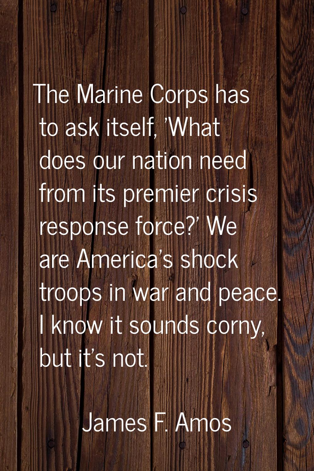 The Marine Corps has to ask itself, 'What does our nation need from its premier crisis response for