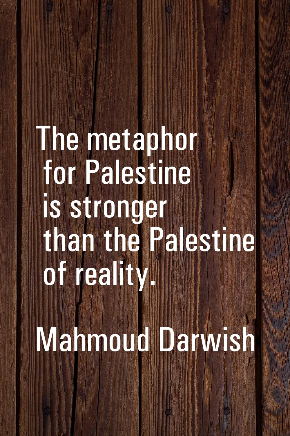 The metaphor for Palestine is stronger than the Palestine of reality.