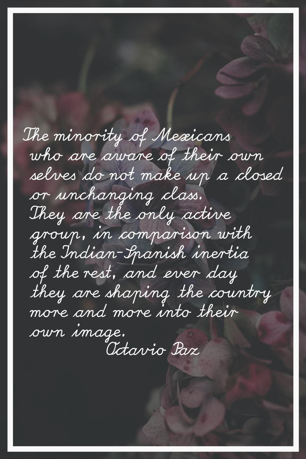 The minority of Mexicans who are aware of their own selves do not make up a closed or unchanging cl