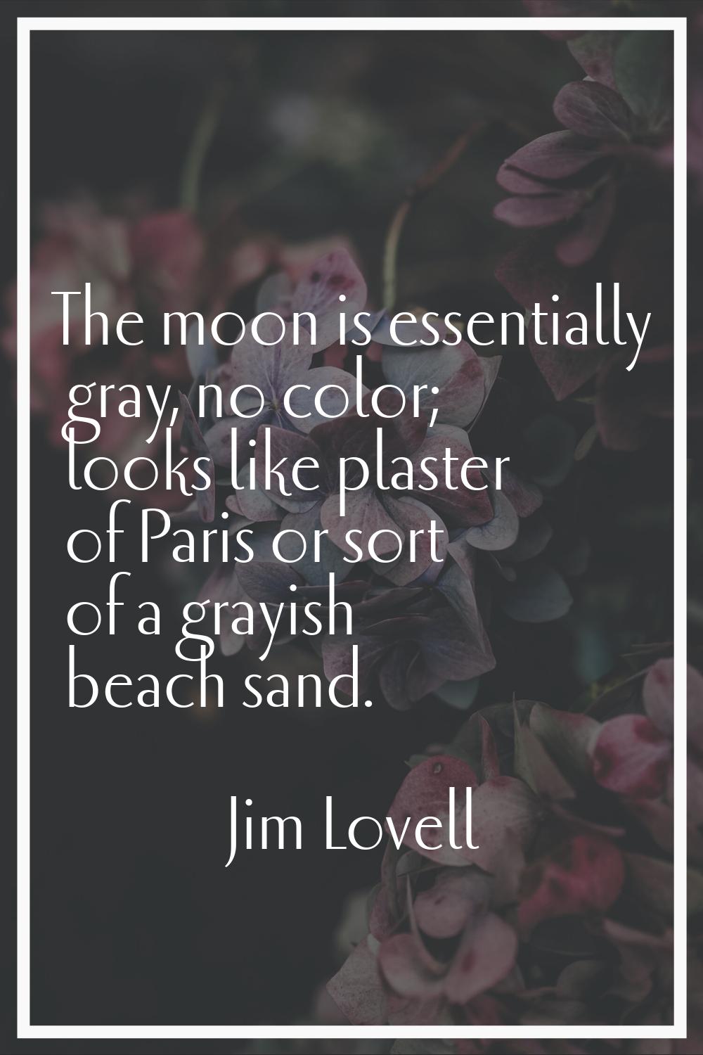 The moon is essentially gray, no color; looks like plaster of Paris or sort of a grayish beach sand