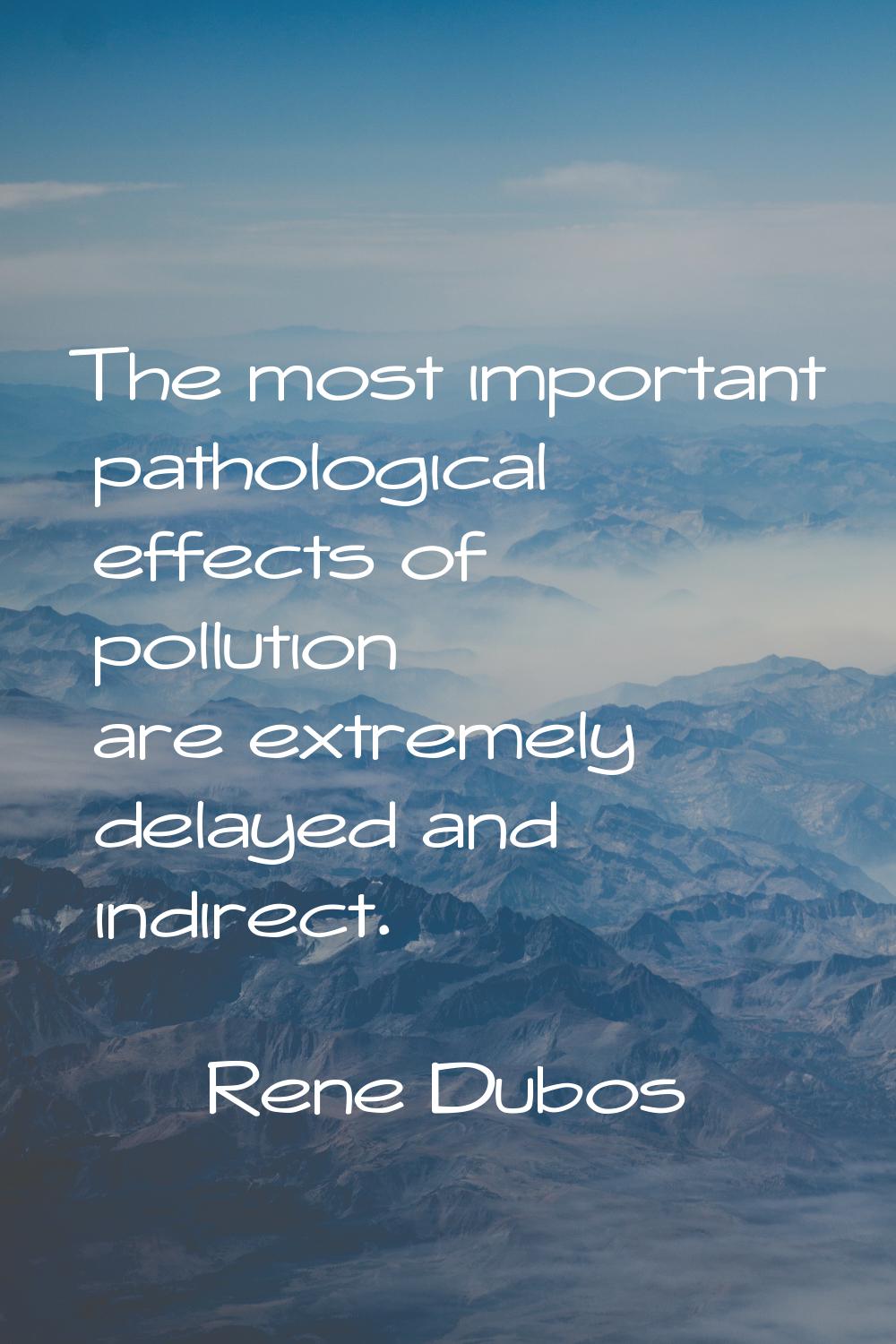 The most important pathological effects of pollution are extremely delayed and indirect.