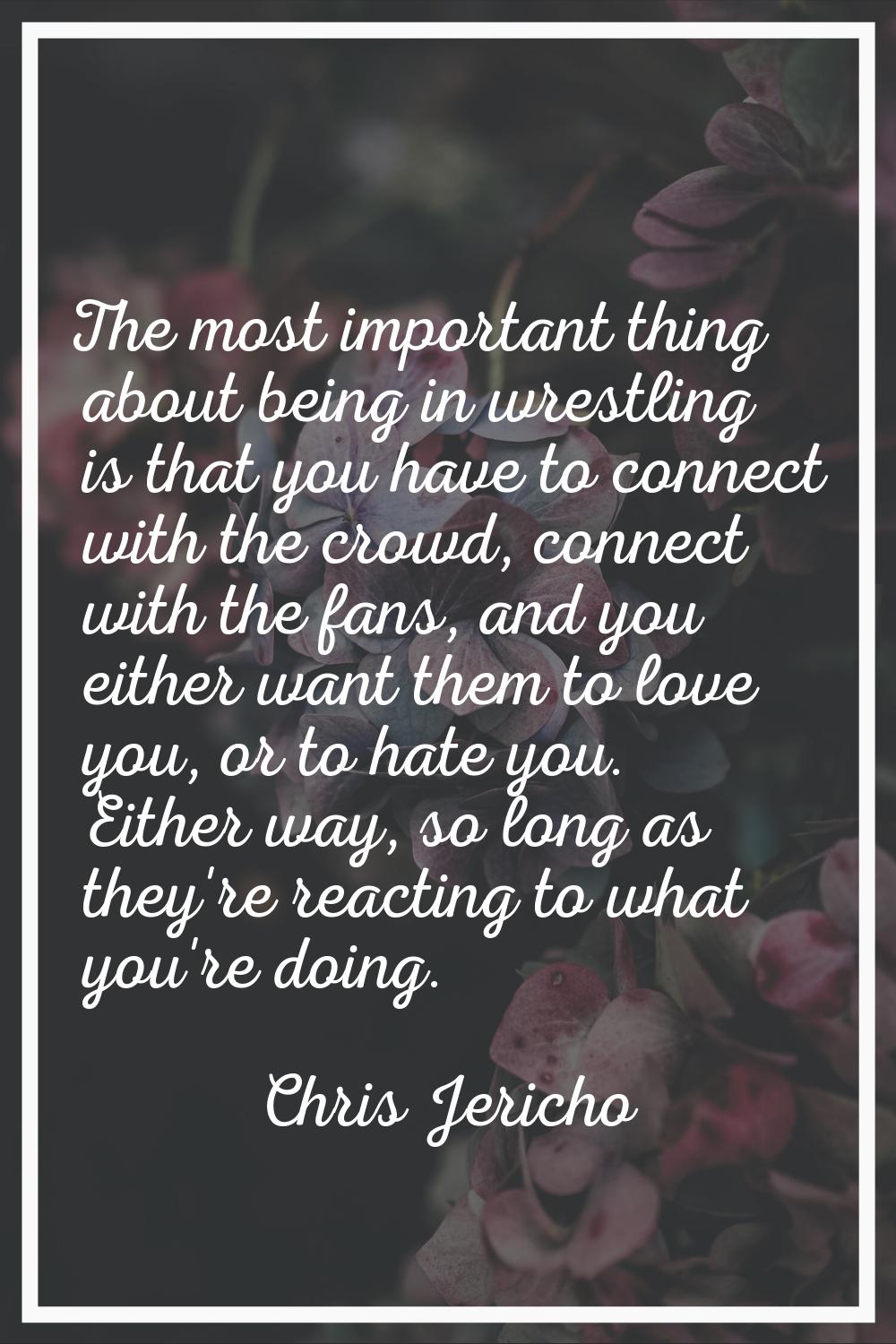The most important thing about being in wrestling is that you have to connect with the crowd, conne