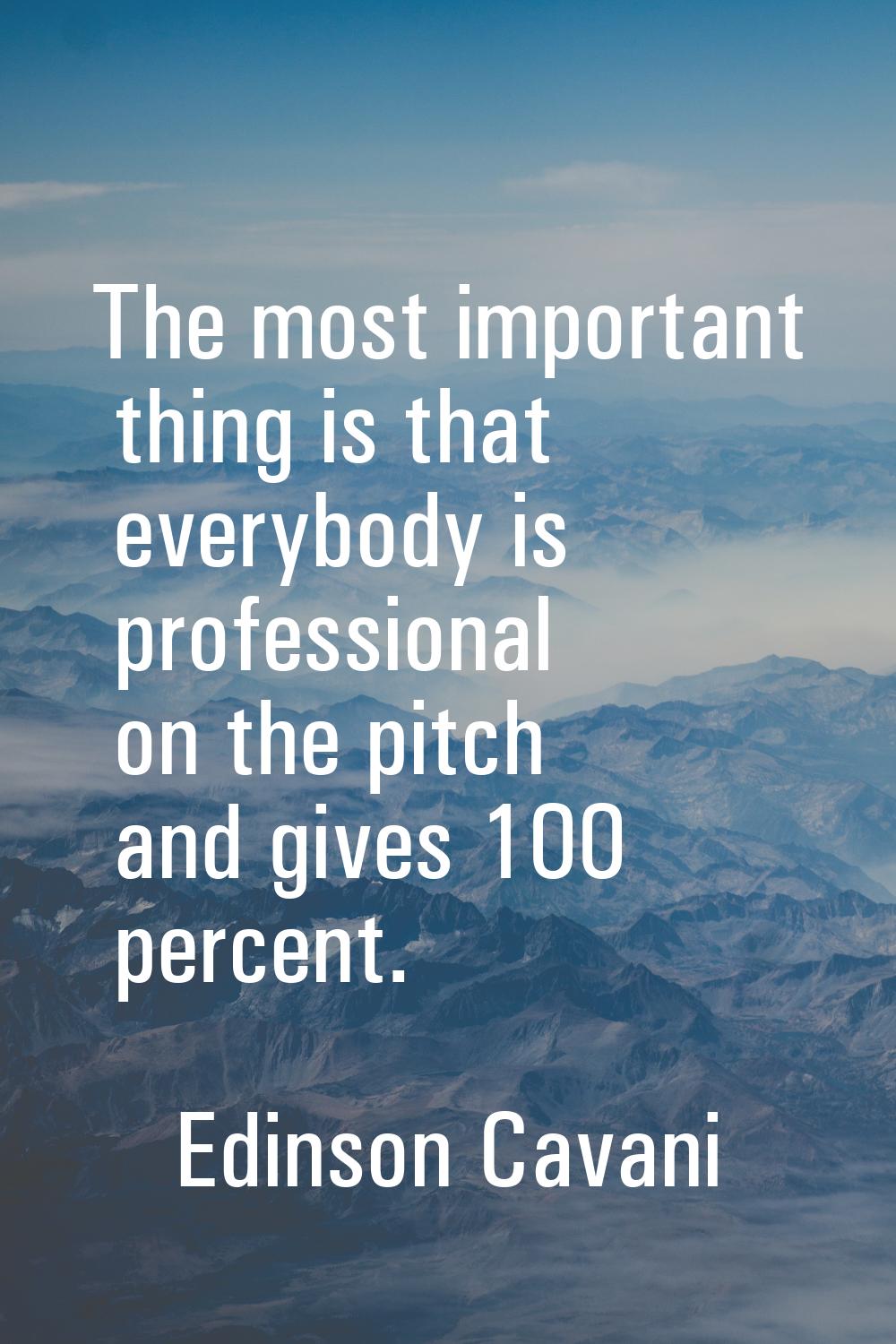 The most important thing is that everybody is professional on the pitch and gives 100 percent.