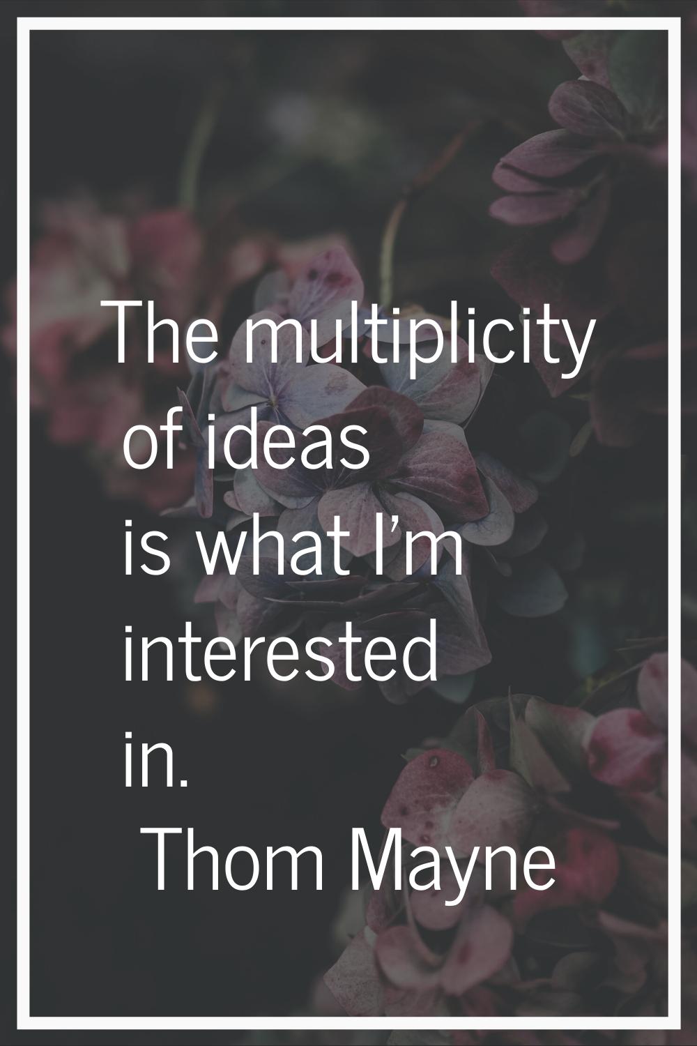 The multiplicity of ideas is what I'm interested in.