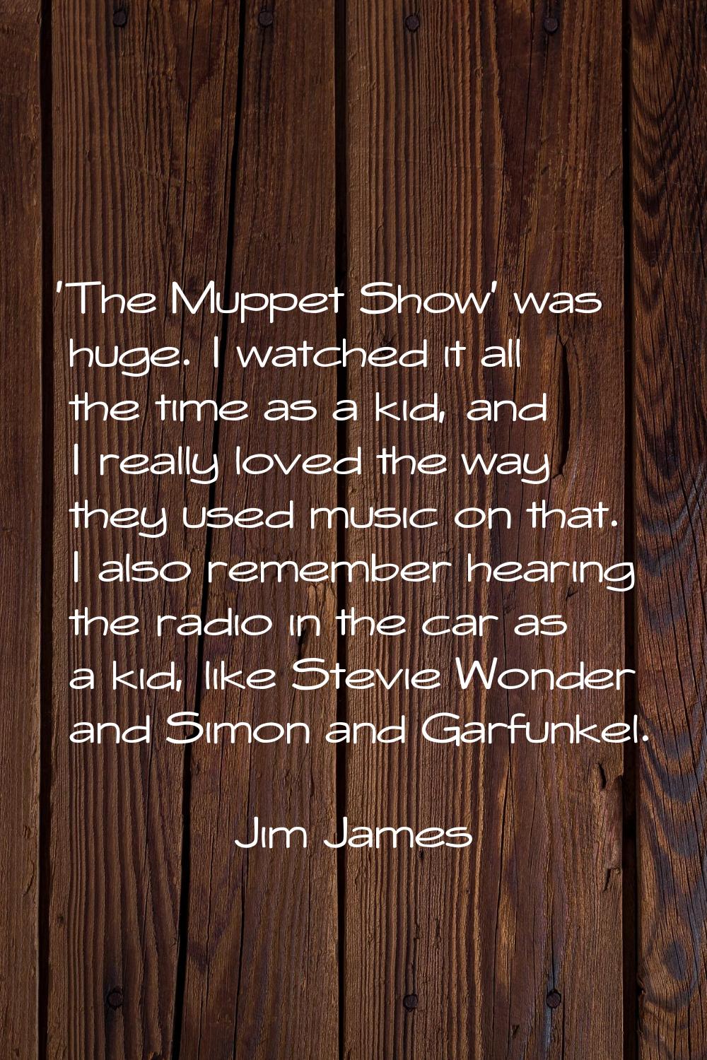 'The Muppet Show' was huge. I watched it all the time as a kid, and I really loved the way they use