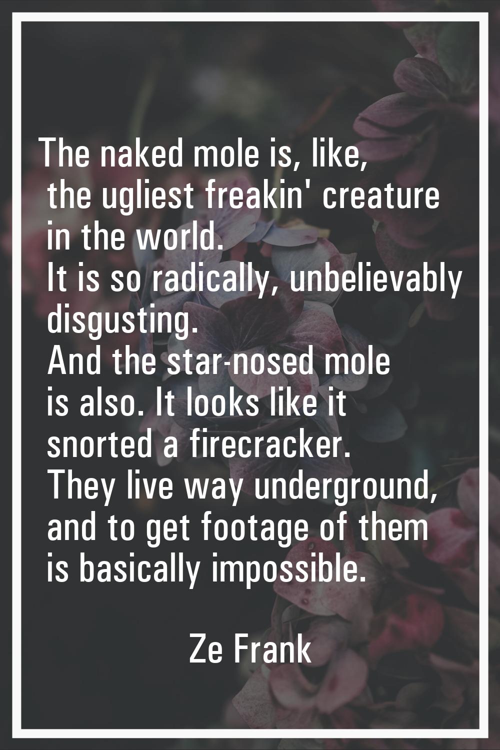 The naked mole is, like, the ugliest freakin' creature in the world. It is so radically, unbelievab