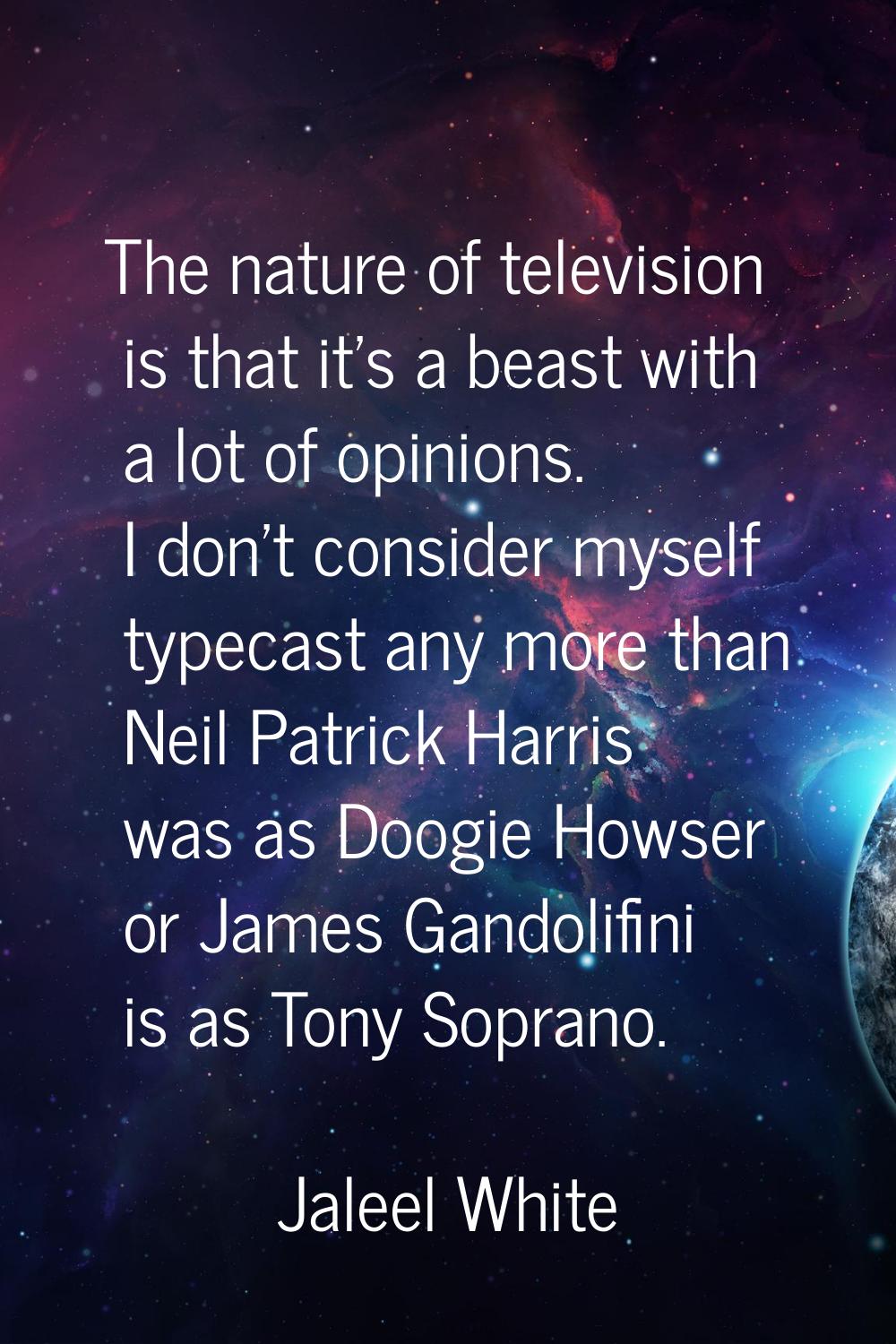 The nature of television is that it's a beast with a lot of opinions. I don't consider myself typec