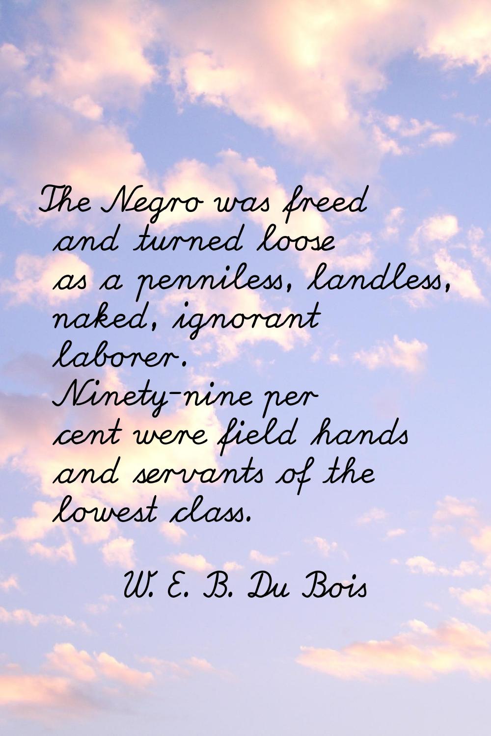 The Negro was freed and turned loose as a penniless, landless, naked, ignorant laborer. Ninety-nine