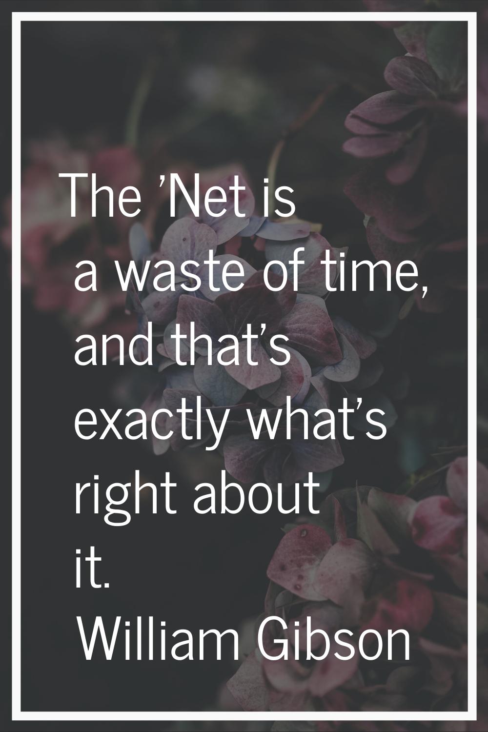 The 'Net is a waste of time, and that's exactly what's right about it.