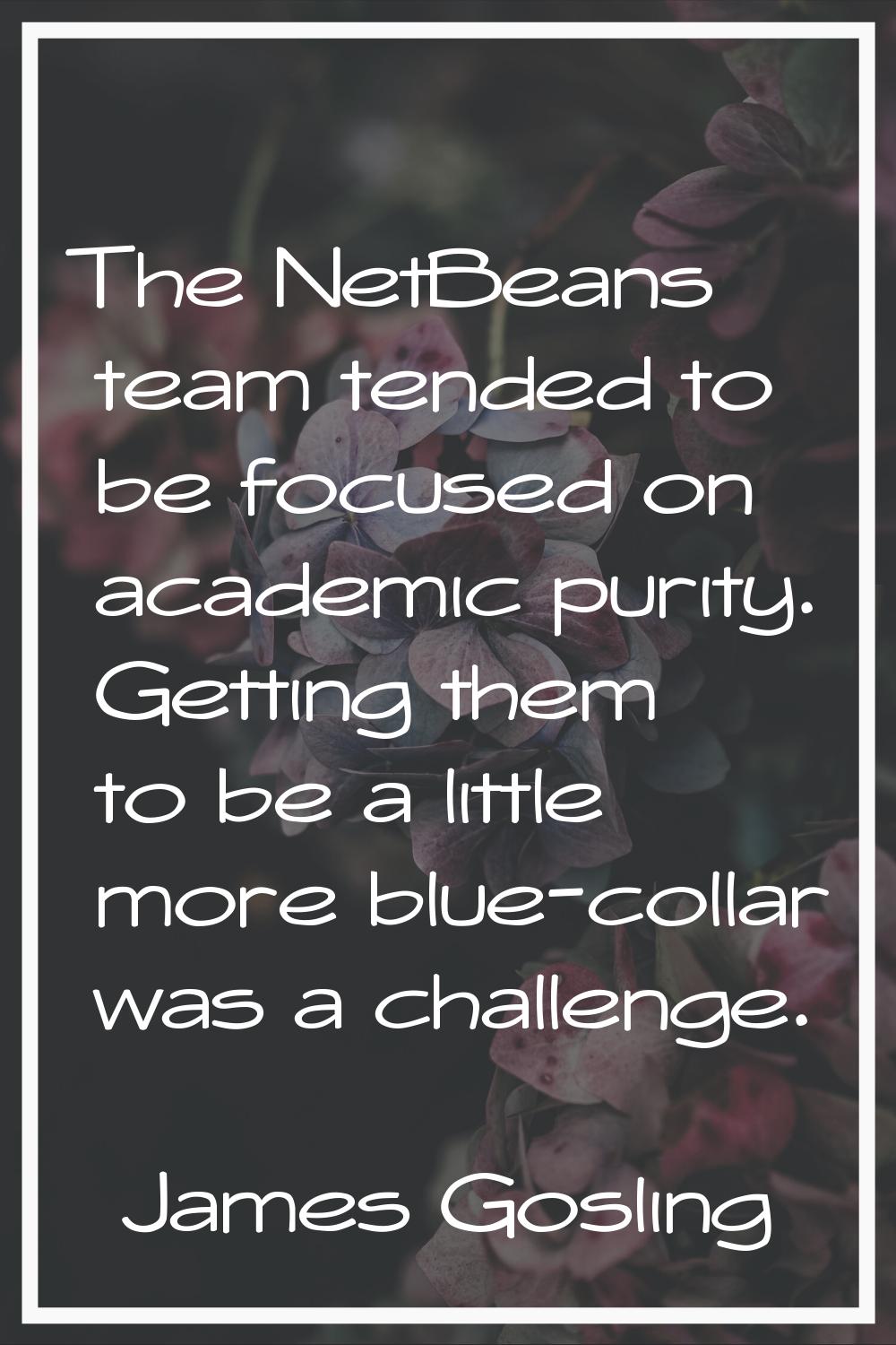 The NetBeans team tended to be focused on academic purity. Getting them to be a little more blue-co