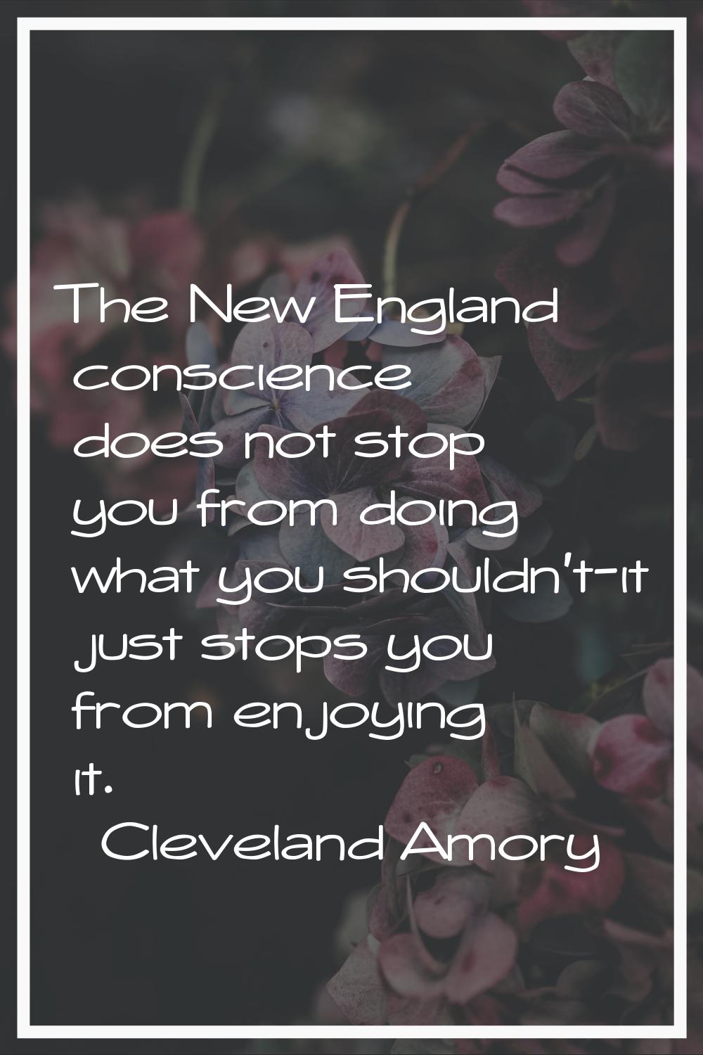 The New England conscience does not stop you from doing what you shouldn't-it just stops you from e
