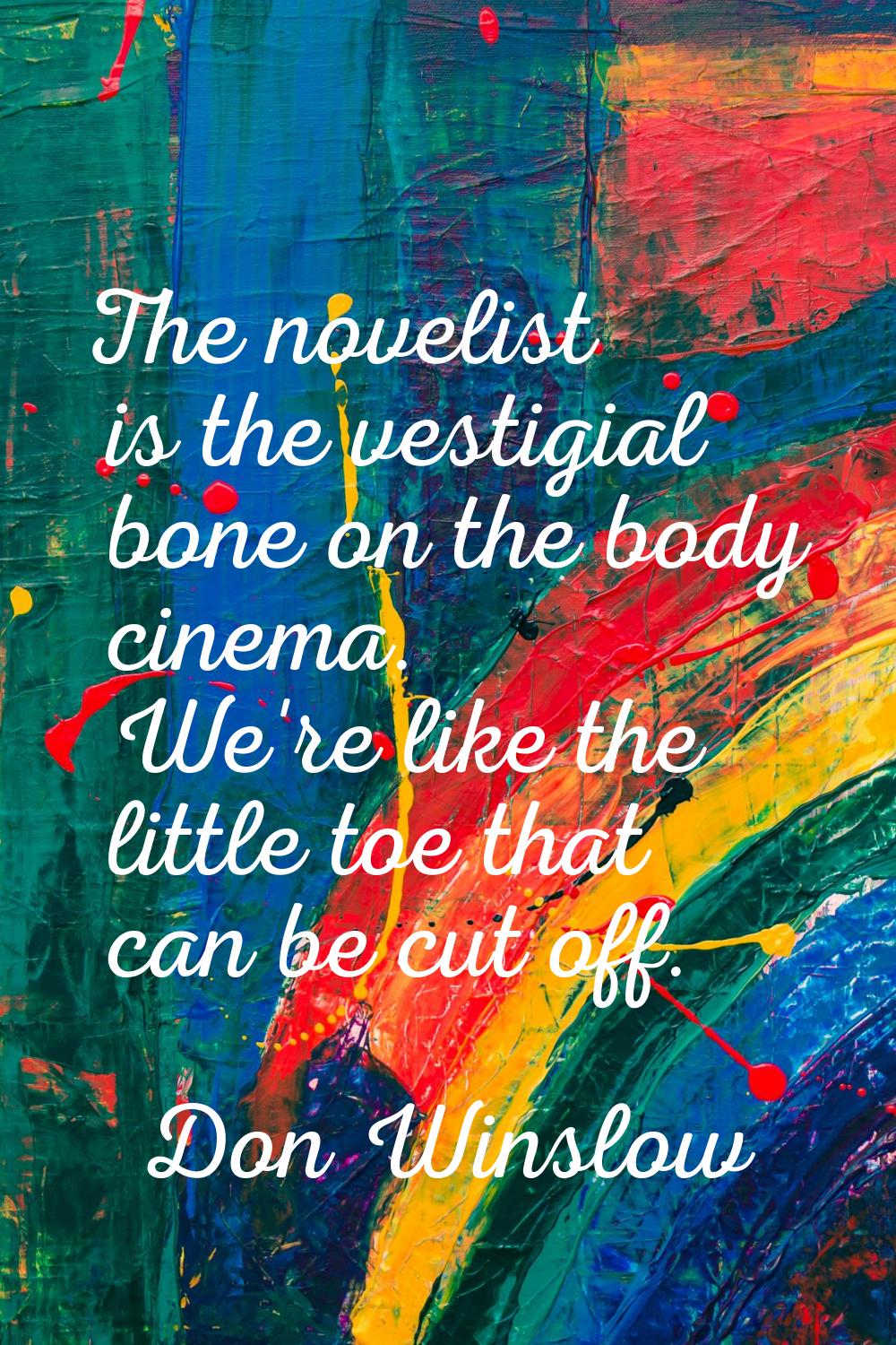 The novelist is the vestigial bone on the body cinema. We're like the little toe that can be cut of