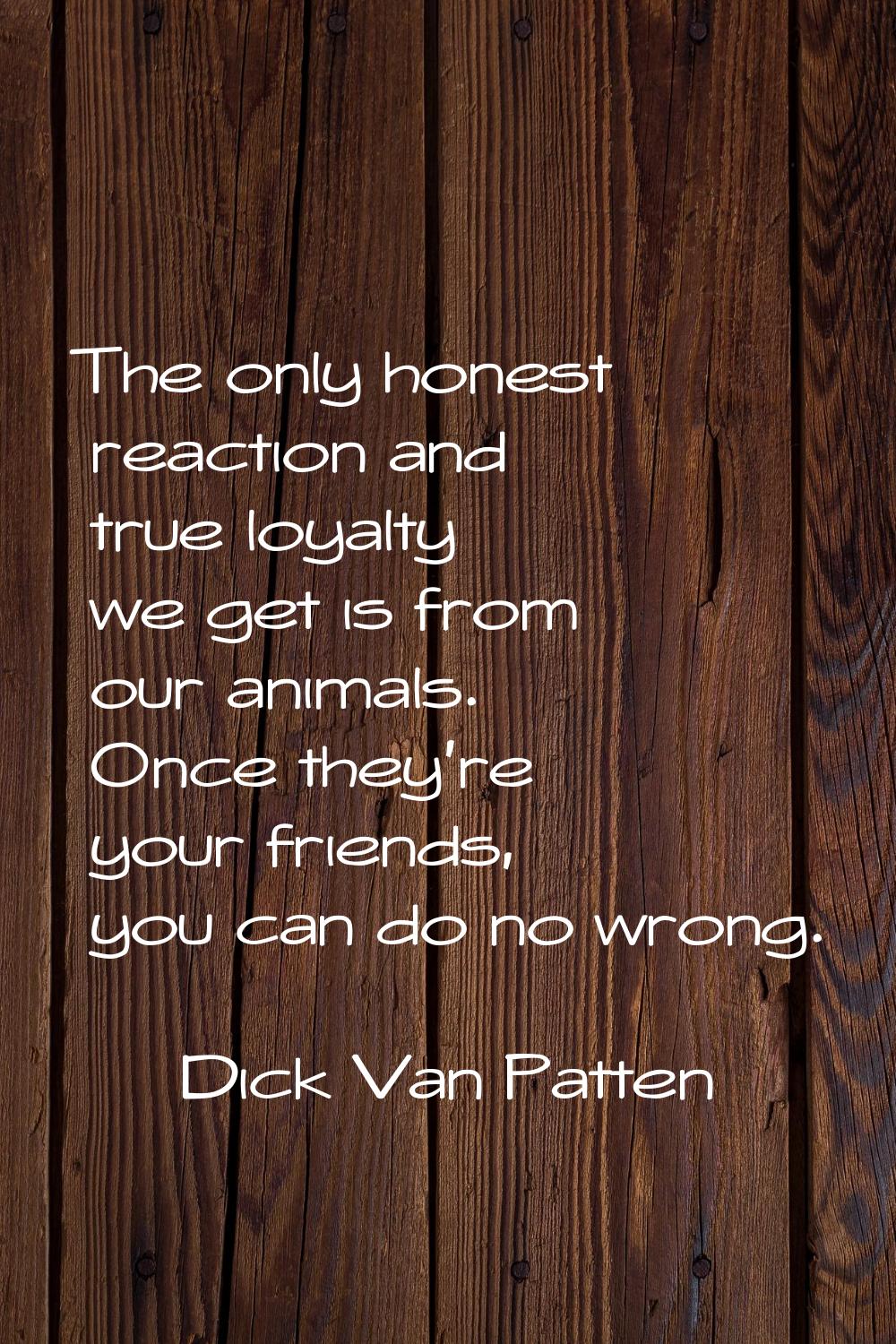 The only honest reaction and true loyalty we get is from our animals. Once they're your friends, yo